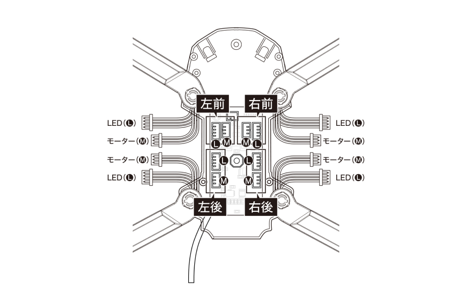 2024-0209-tayori5-endo (1).jpg